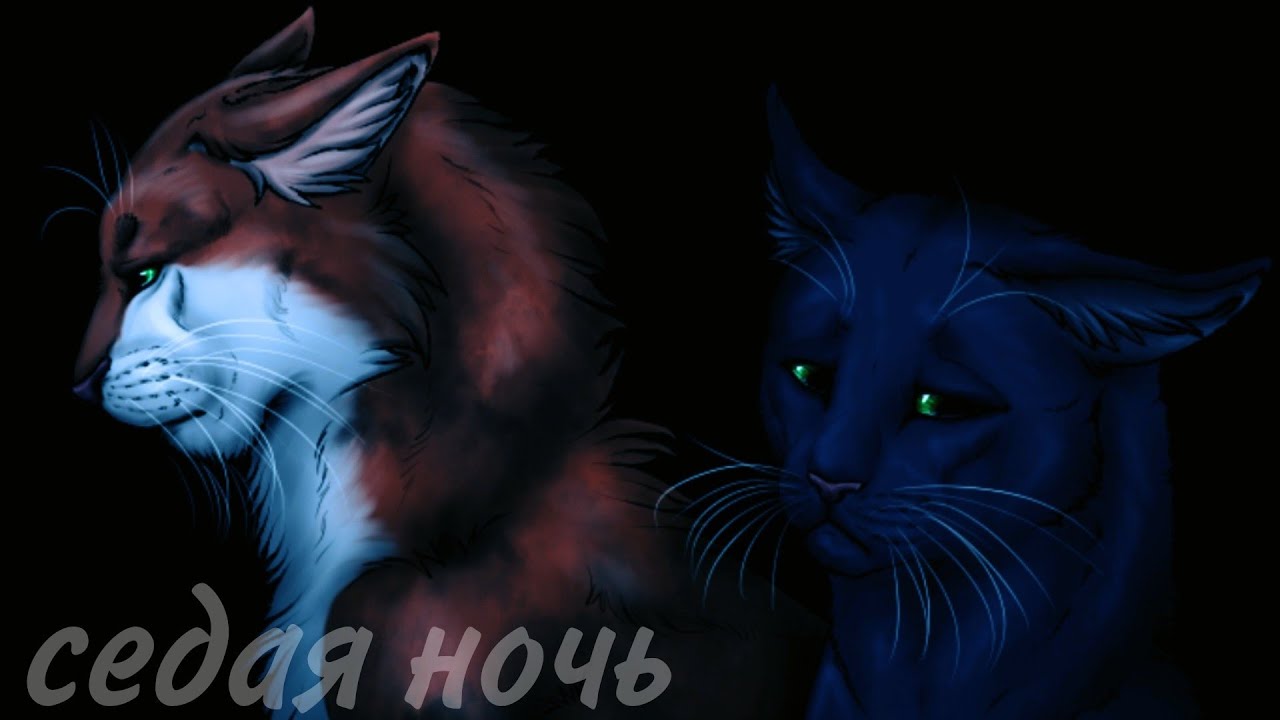 Коты воители: Листвичка и Остролистая 