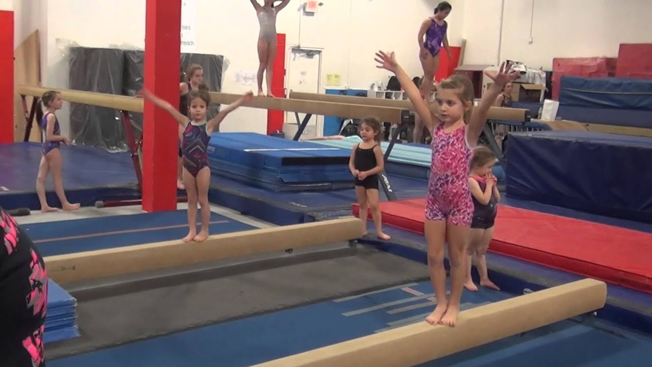 MEGA Fun and Fitness - Gymnastics, Novi, MI