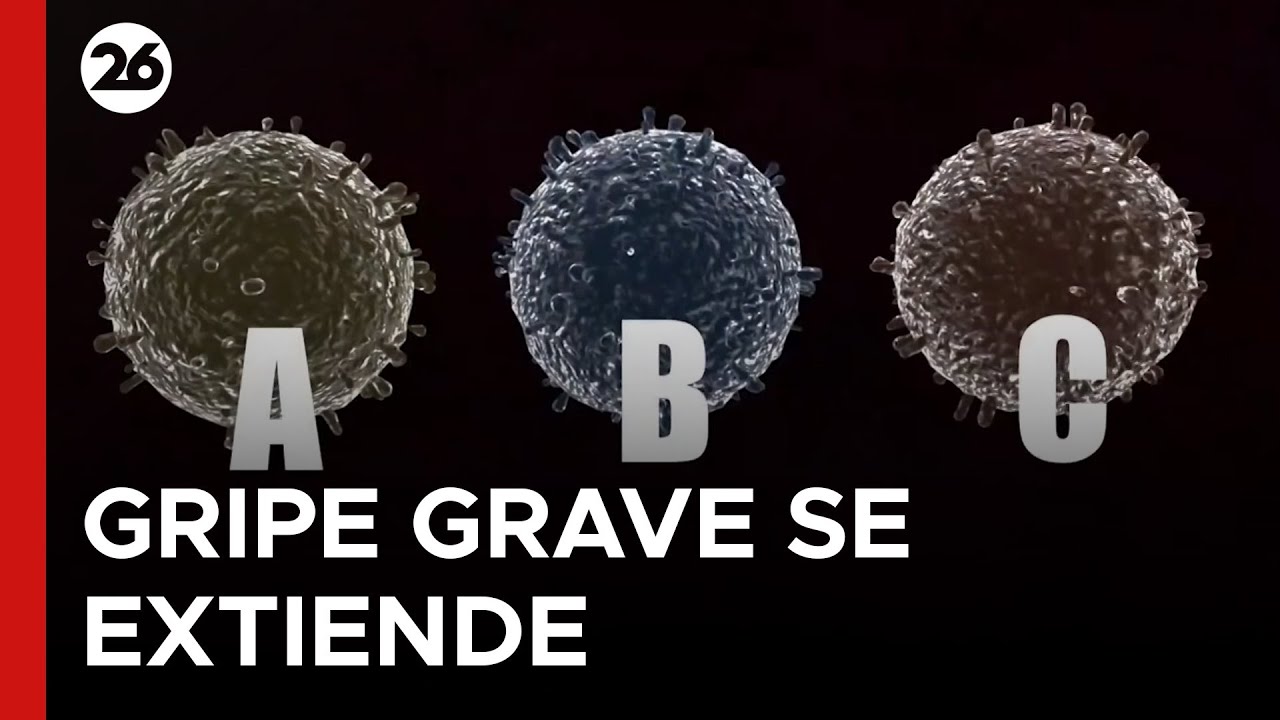 🦠 ALERTA SANITARIA | Nueva variante de gripe grave se propaga en EEUU