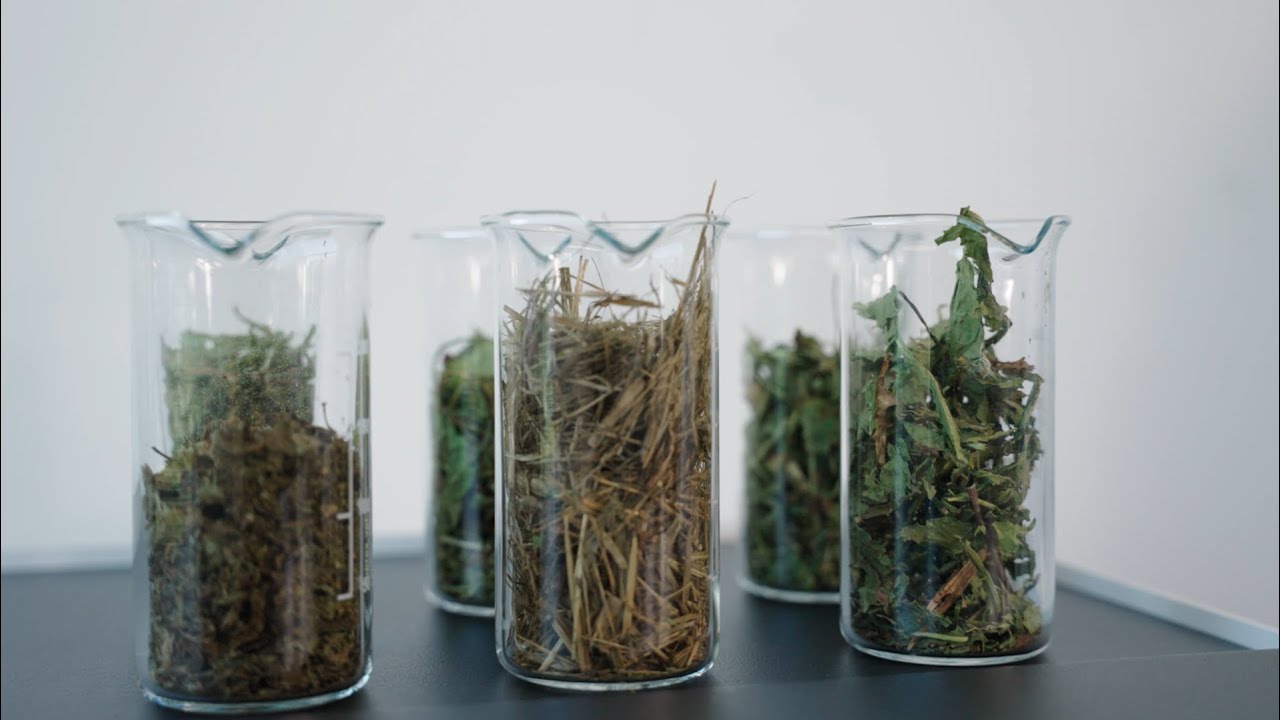 Cutting Mill SM 50: Optimized for different sample tasks in a row  - RETSCH