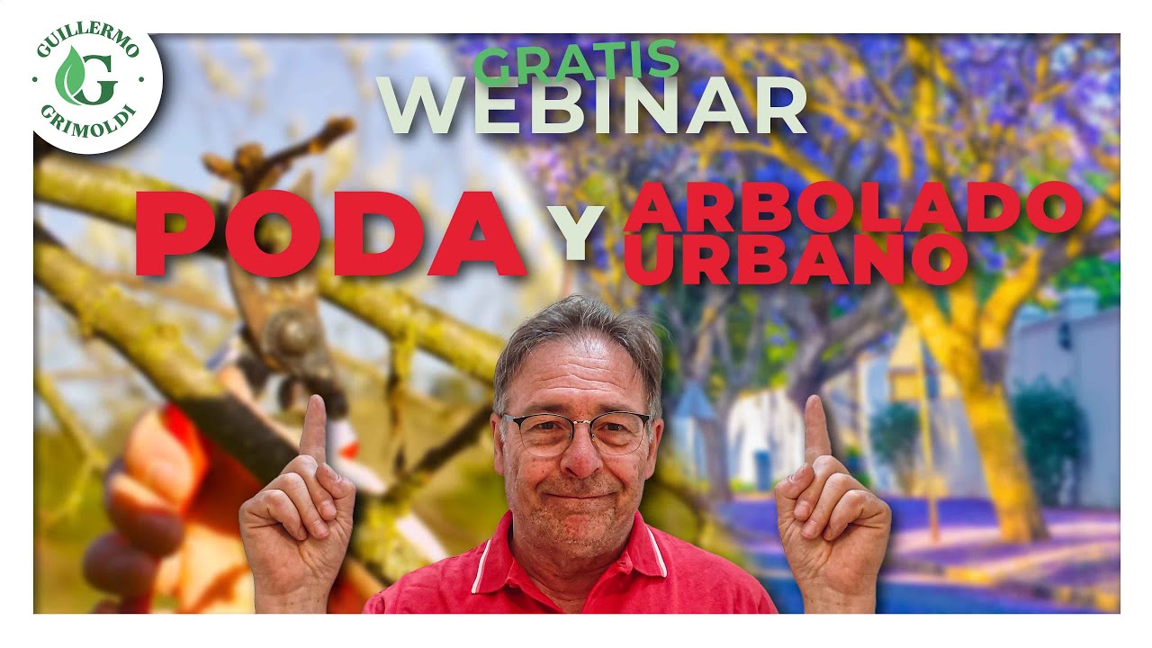 Webinar Gratuito: PODA y arbolado urbano👩‍🌾 +🎁Sorteo🎁