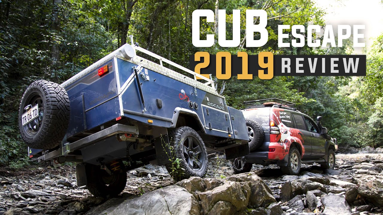 Cub Escape | 2019 Review