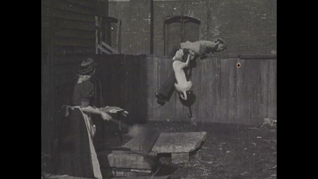 The Tramp and the Dog (1896) Selig