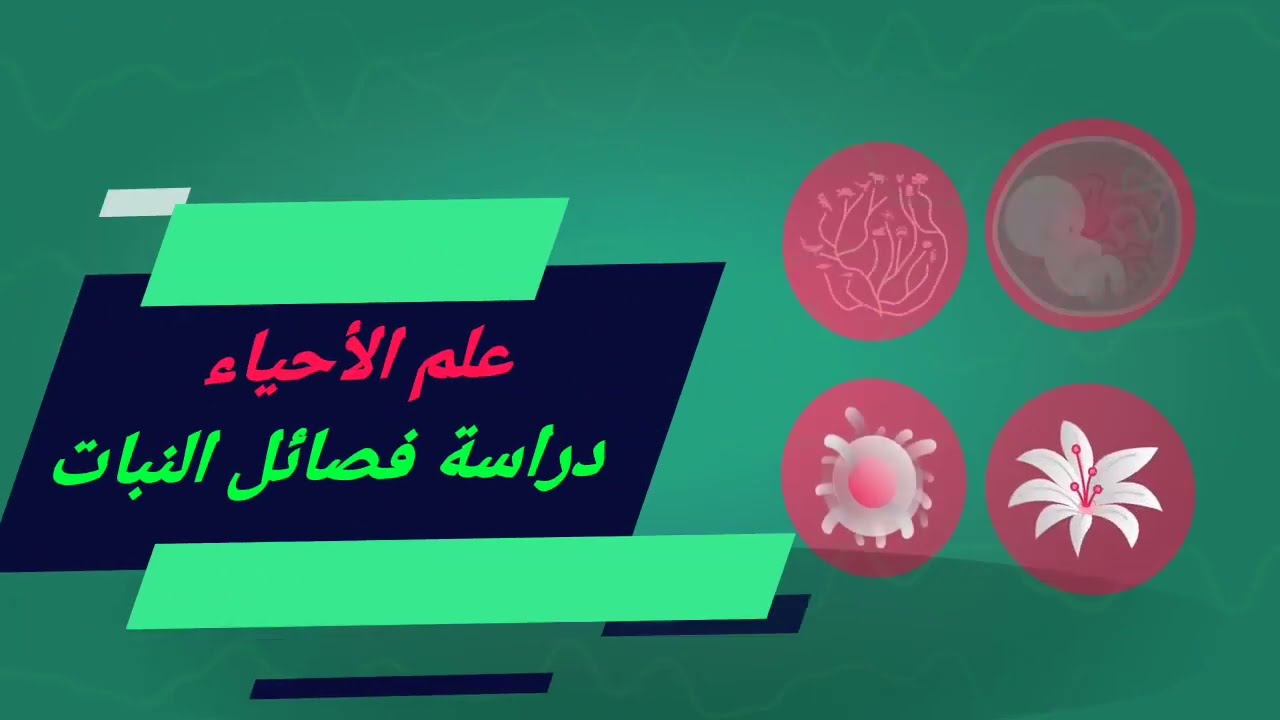 العلوم | تصنيف النباتات ودراسة الفصائل النباتية