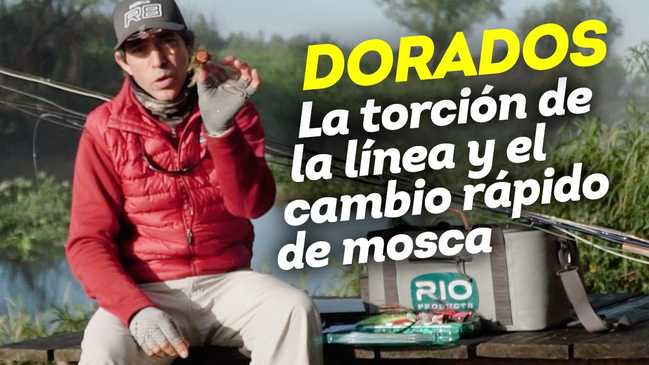 Pesca con mosca de dorados: el uso del micro esmerillón y cambia anzuelos