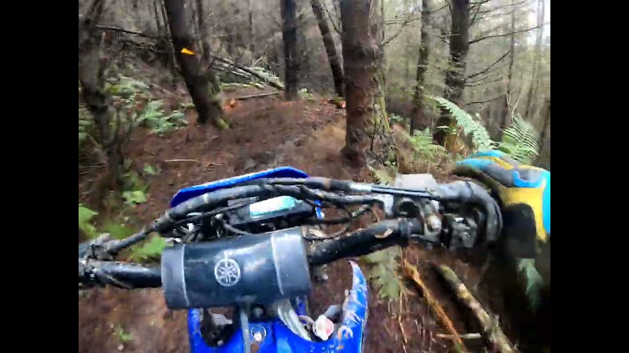 Berm Buster ( golds,silvers,bronze)