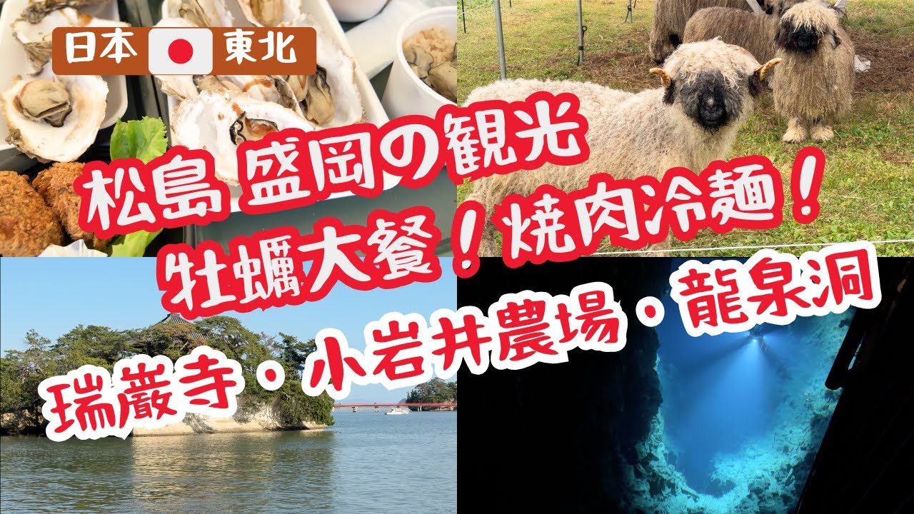 【日本東北】松島・盛岡🇯🇵自駕遊｜松島魚市場新鮮烤牡蠣🎏瑞巖寺｜中尊寺・龍泉洞藍湖・燒肉冷麵・小岩井農場 Tohoku Japan Travel Vlog: Matsushima & Morioka