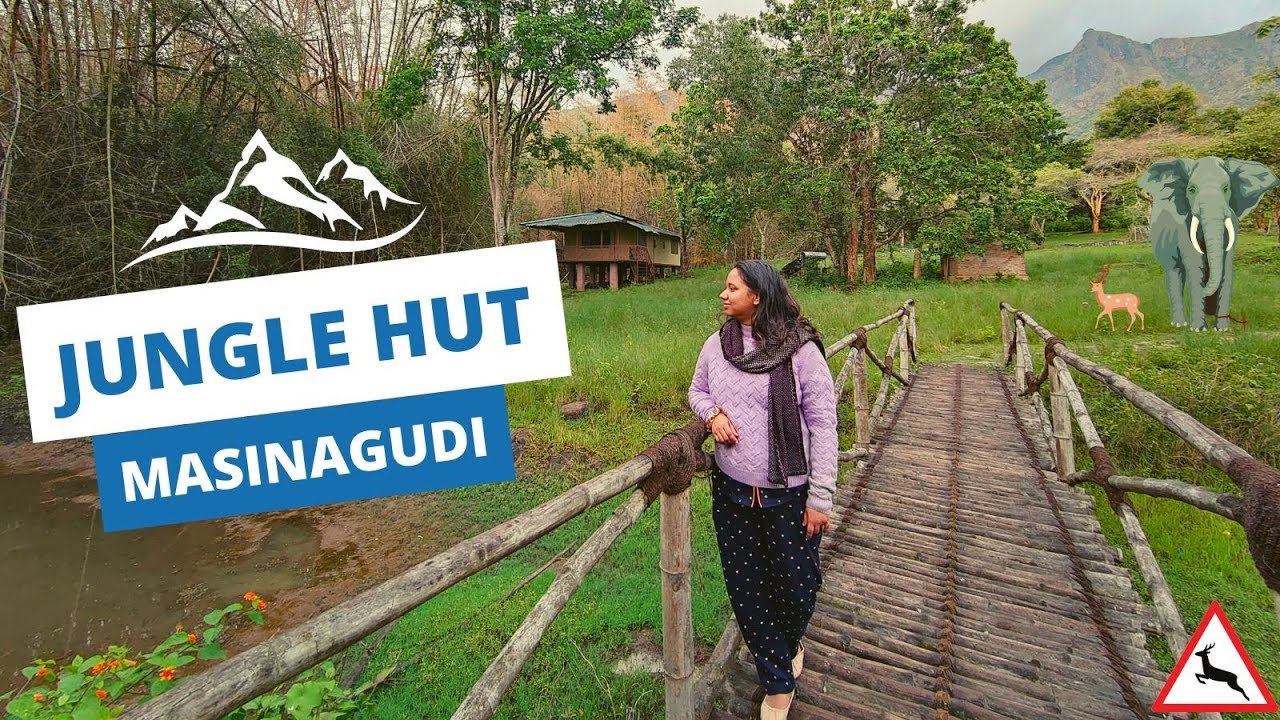 Jungle Hut Resort, Masinagudi : Gateway to Nature's Paradise 🏠🌲🐯