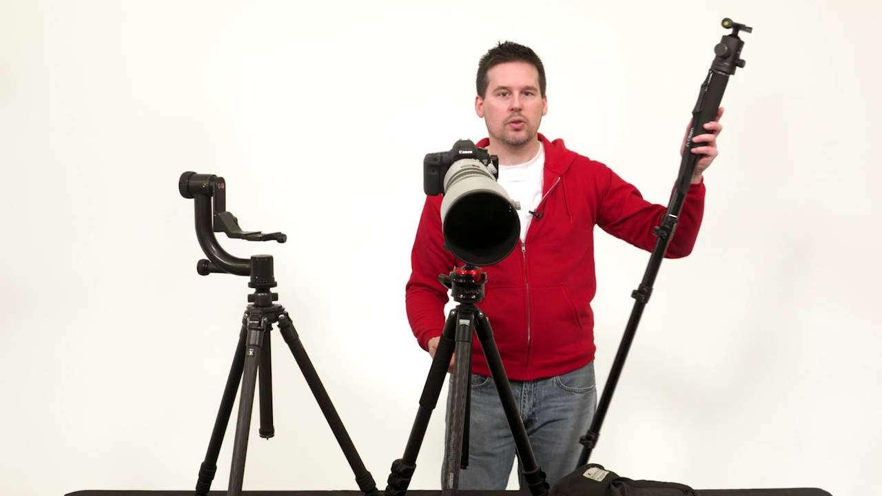 Wildlife Photography Equipment: Tripod Heads
