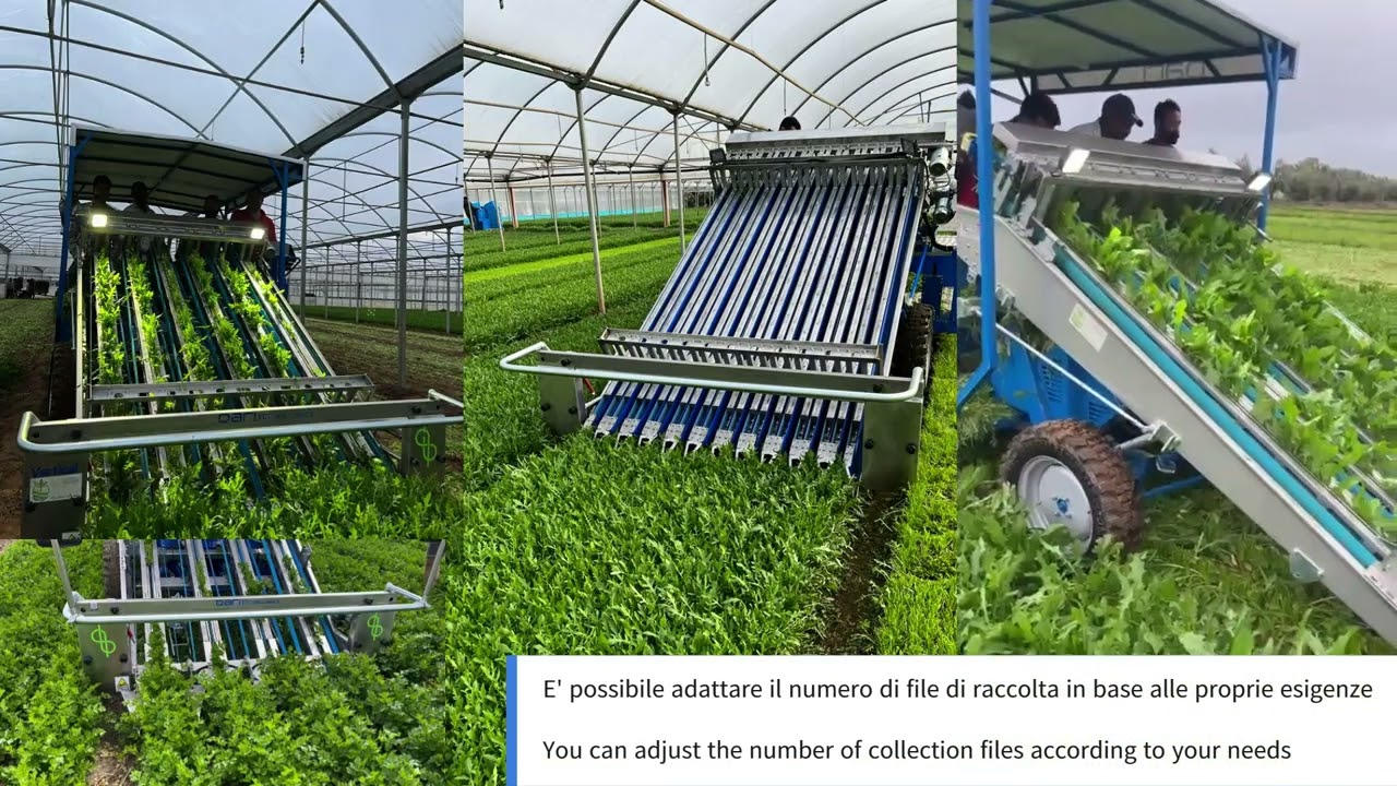 Dari Ecomeccanica - VERTICAL