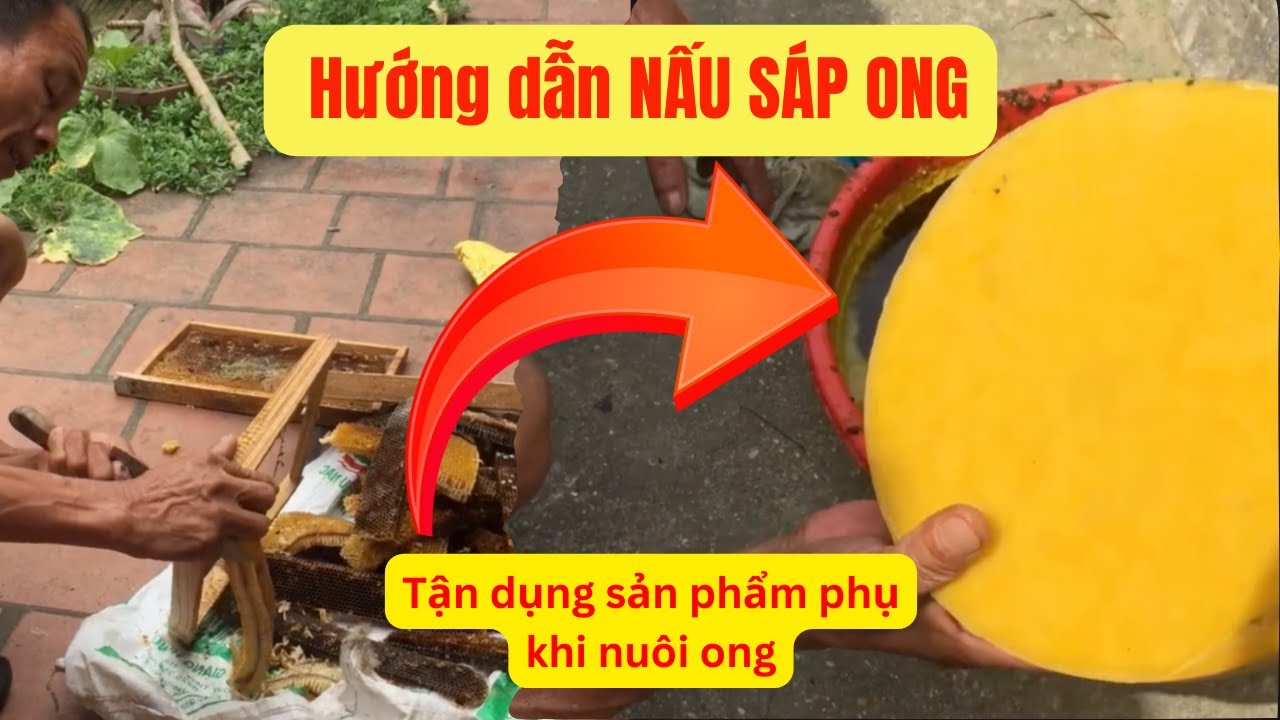 Hướng dẫn nấu sáp ong [ĐƠN GIẢN]