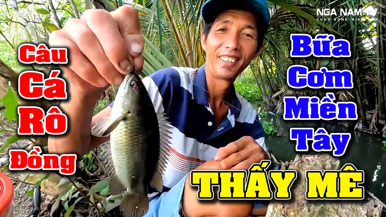 Câu Cá Rô Mùa Này Toàn Cá Rô Mề, Cá Rô Kho Tiêu Bữa Cơm Dân Dã Miền Tây/Fishing/NGÃ NĂM TV