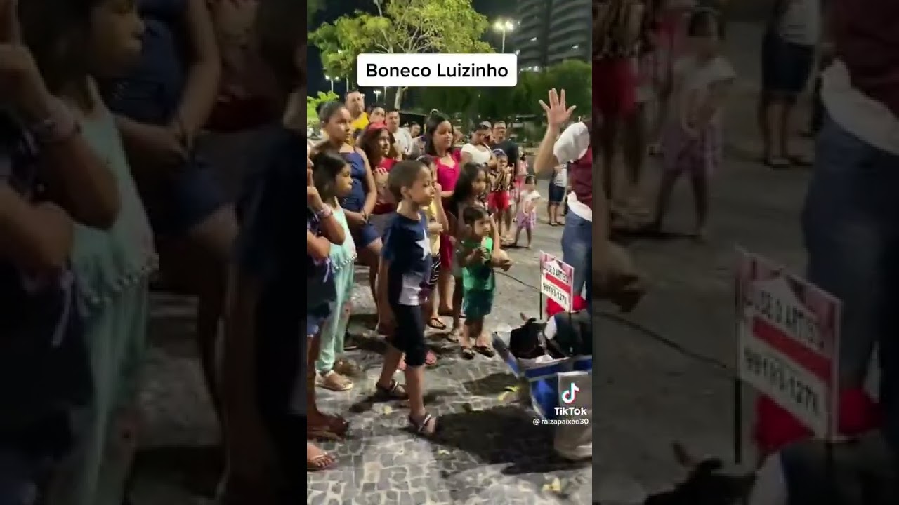 boneco  Luizinho