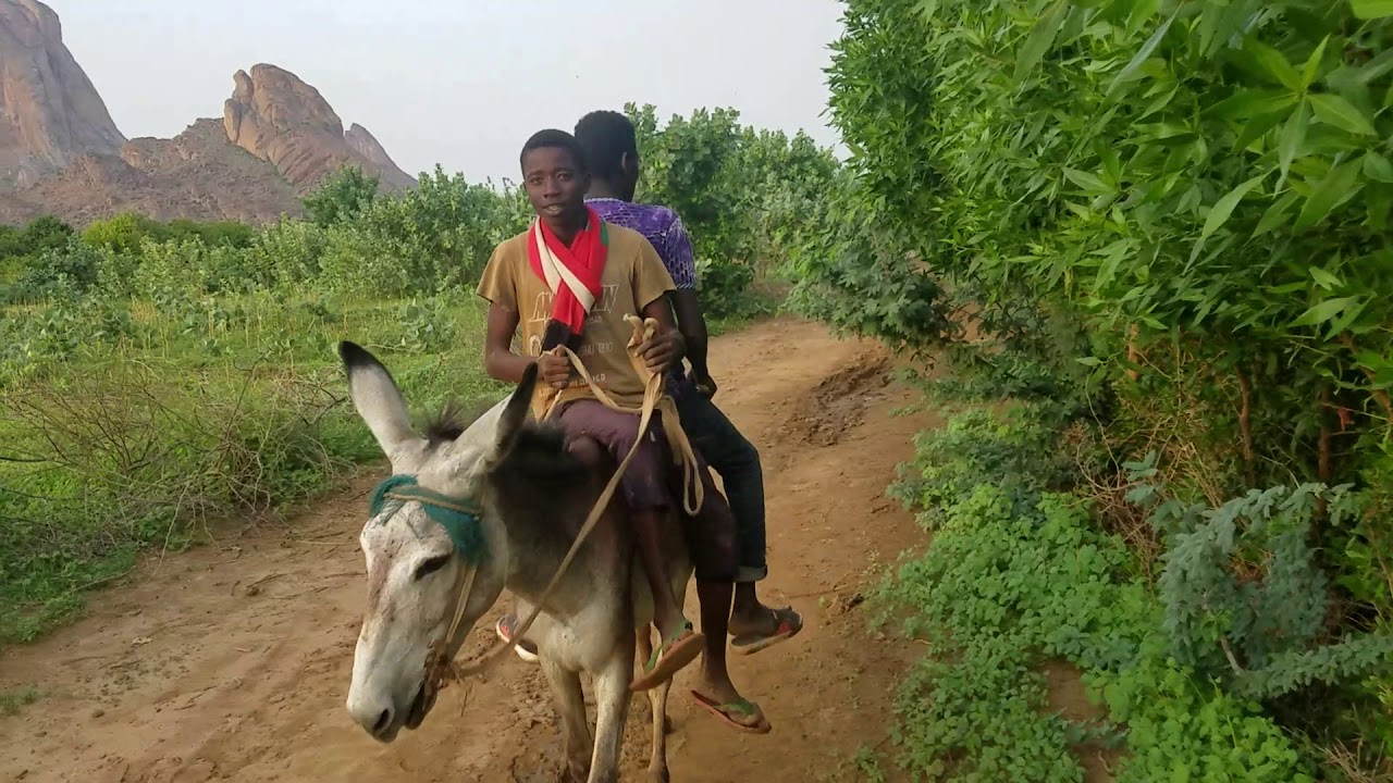 كسلا كسلا السواقي الجنوبية