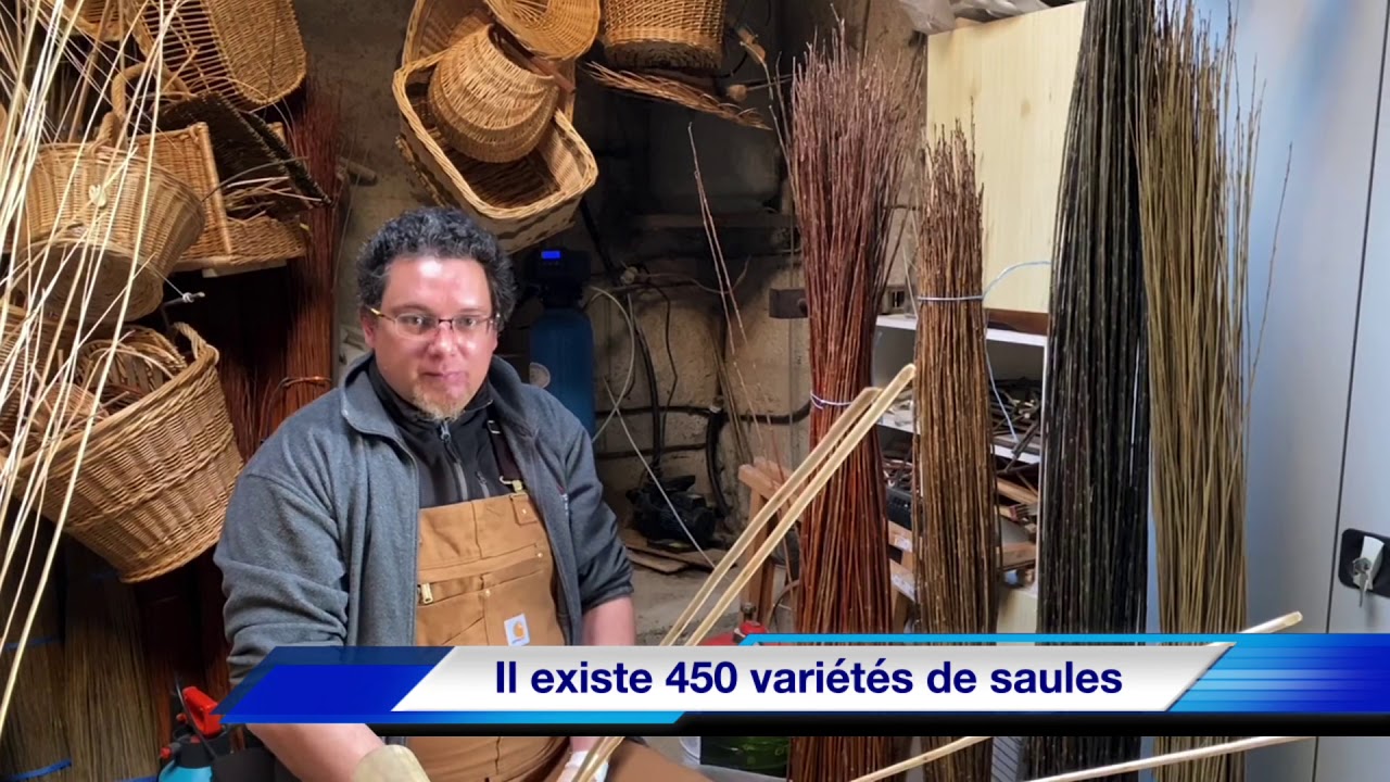 Profession : Artisan Vannier Ars en Ré