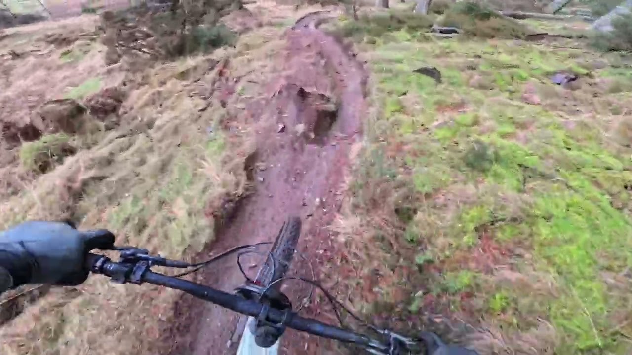 Fast and furious at ballo woods 