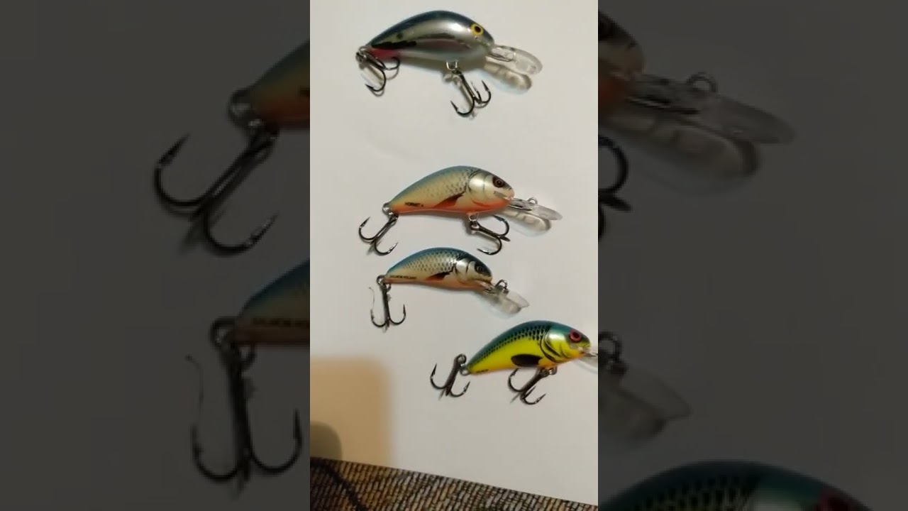 опыт ловли на salmo hornet 4 и краткий обзор цветов и видов: плавающие/тонущие.