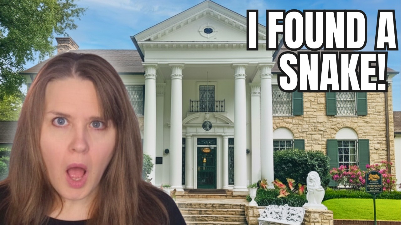 Graceland Walking Guide | Secret Entrance, Chapel & Memphis Must-Sees