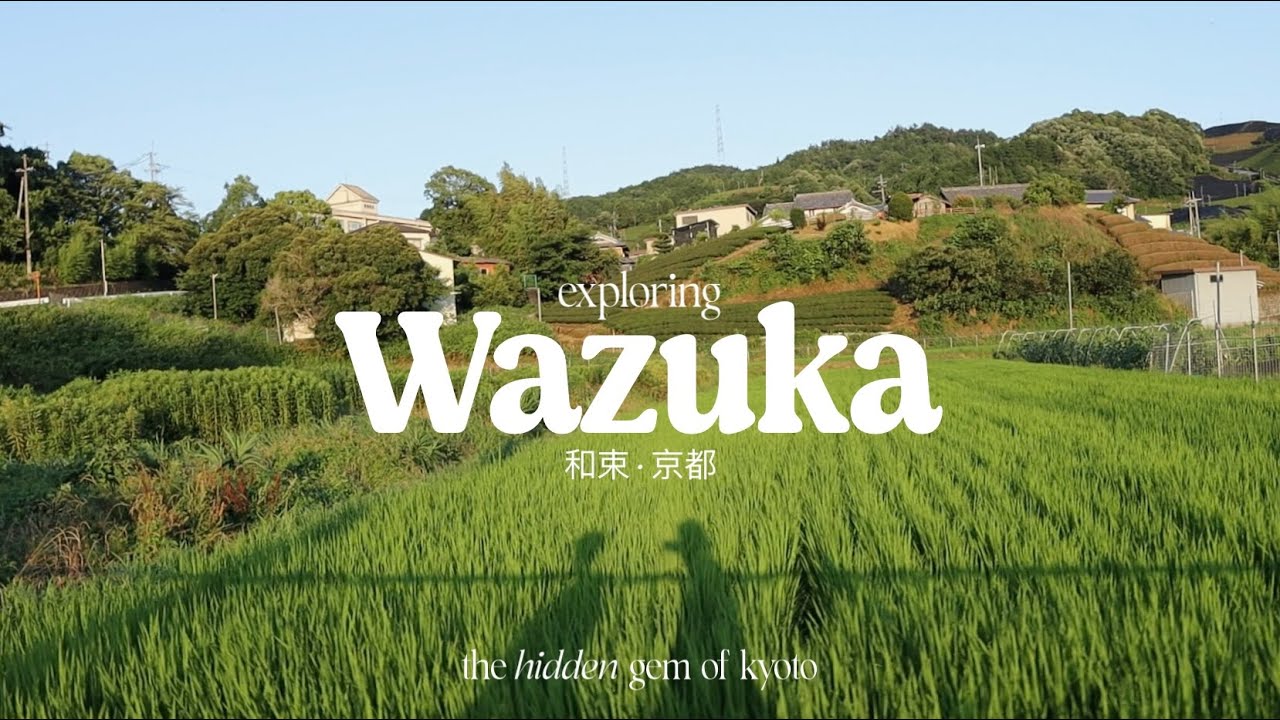 japan vlog | short day trip from kyoto to wazuka – matcha tea fields, quiet & hidden gem of kyoto 🍵🍃