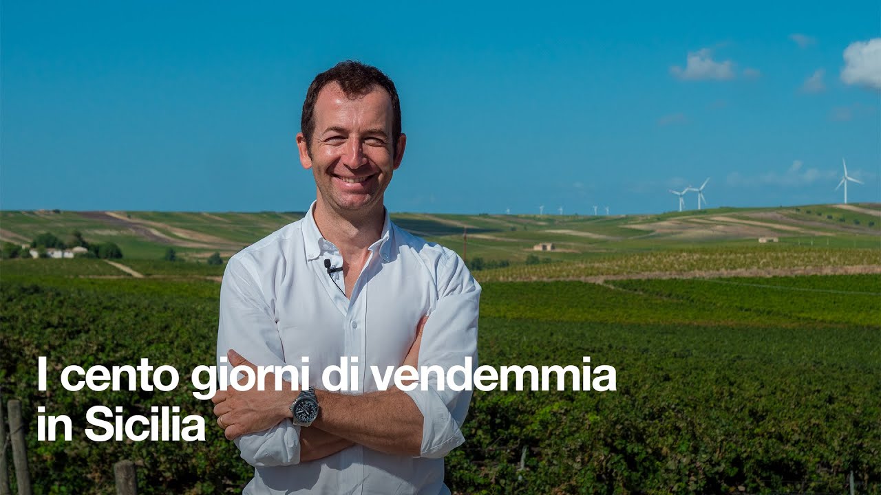In Sicilia, la vendemmia più lunga d'Italia.