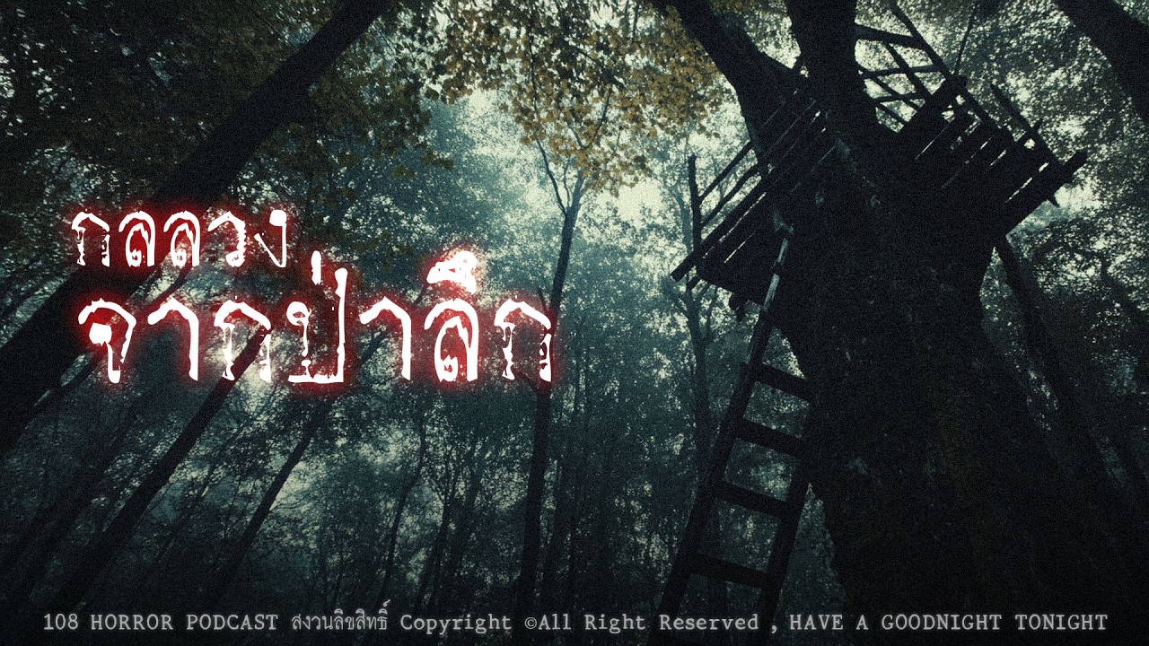 กลลวงจากป่าลึก (จังหวัดตาก) | 108 เรื่องหลอน PODCAST EP.991