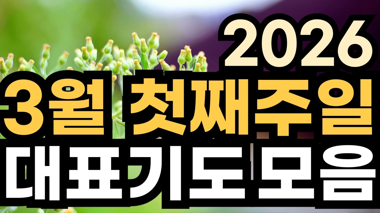 대표기도 예시ㅣ3월 주일예배기도 모음ㅣ3월 첫째주 1주 대표기도문 모음ㅣ대표기도가 어려운분들을 위한 기도예시문ㅣ2026년 주일 예배 대표기도 준비ㅣ슬기로운 기도생활