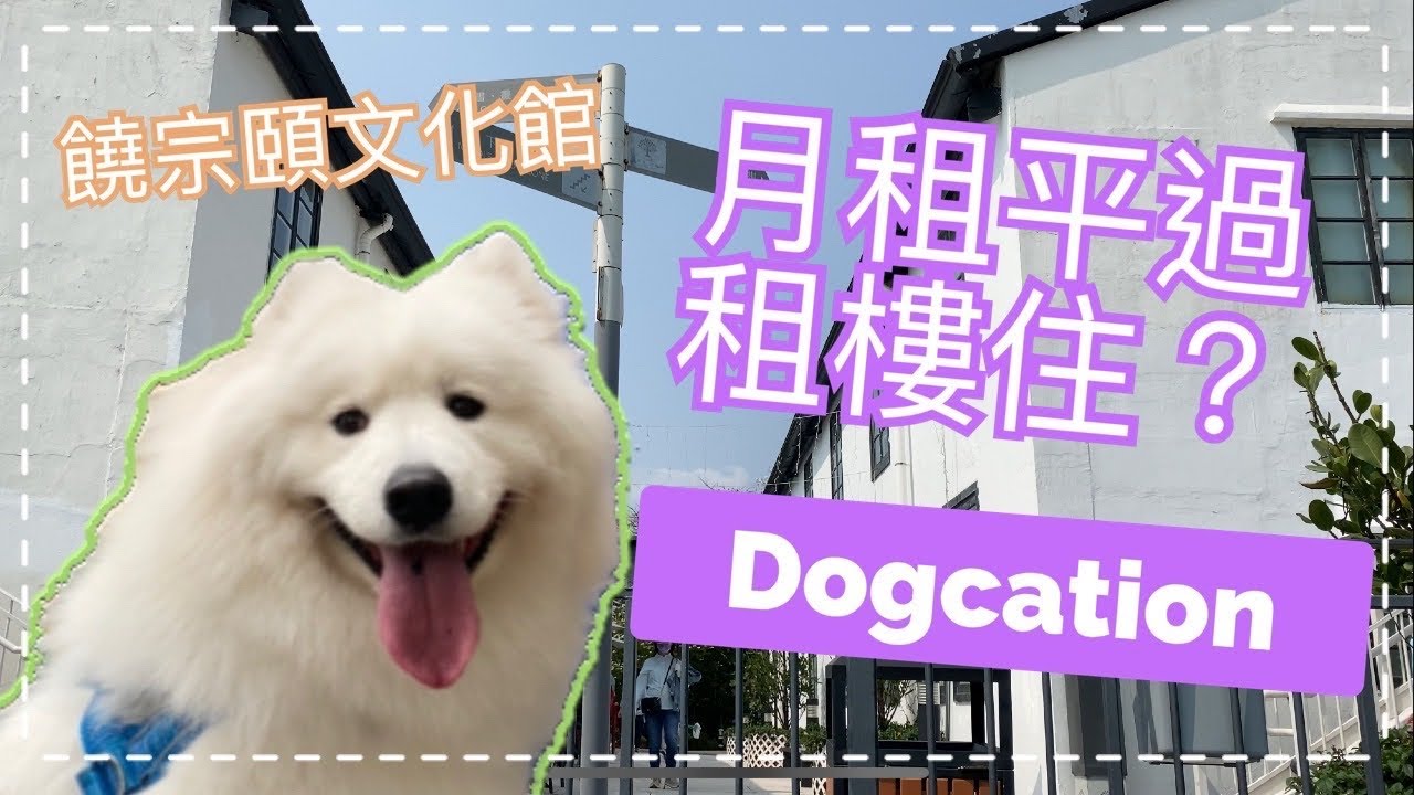 香港Staycation✈️｜HK$600一晚起的Dogcation🤩｜月租可能平過租樓租🙊｜饒宗頤文化館｜翠雅山房🔹西摩犬Tako
