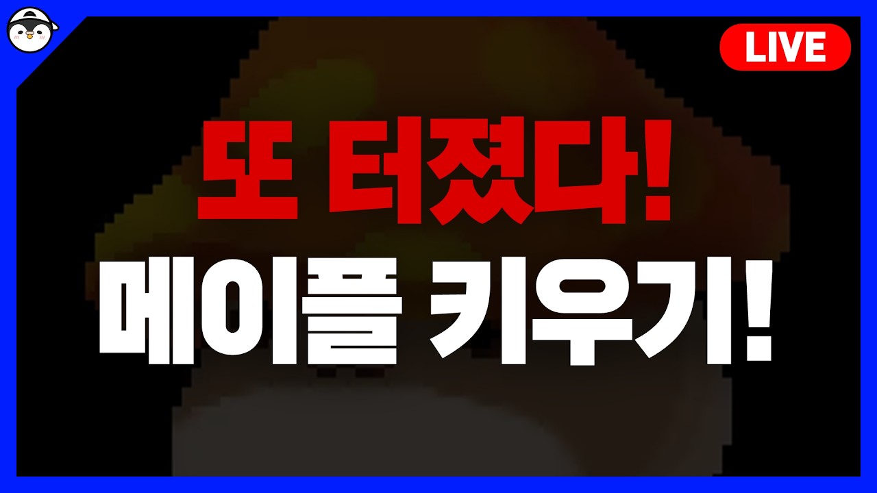 또 터졌다는 메이플 키우기. 뭔 일이냐?