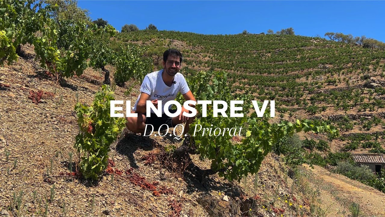 EL NOSTRE VI - Capítol 4 - La D.O.Q. Priorat