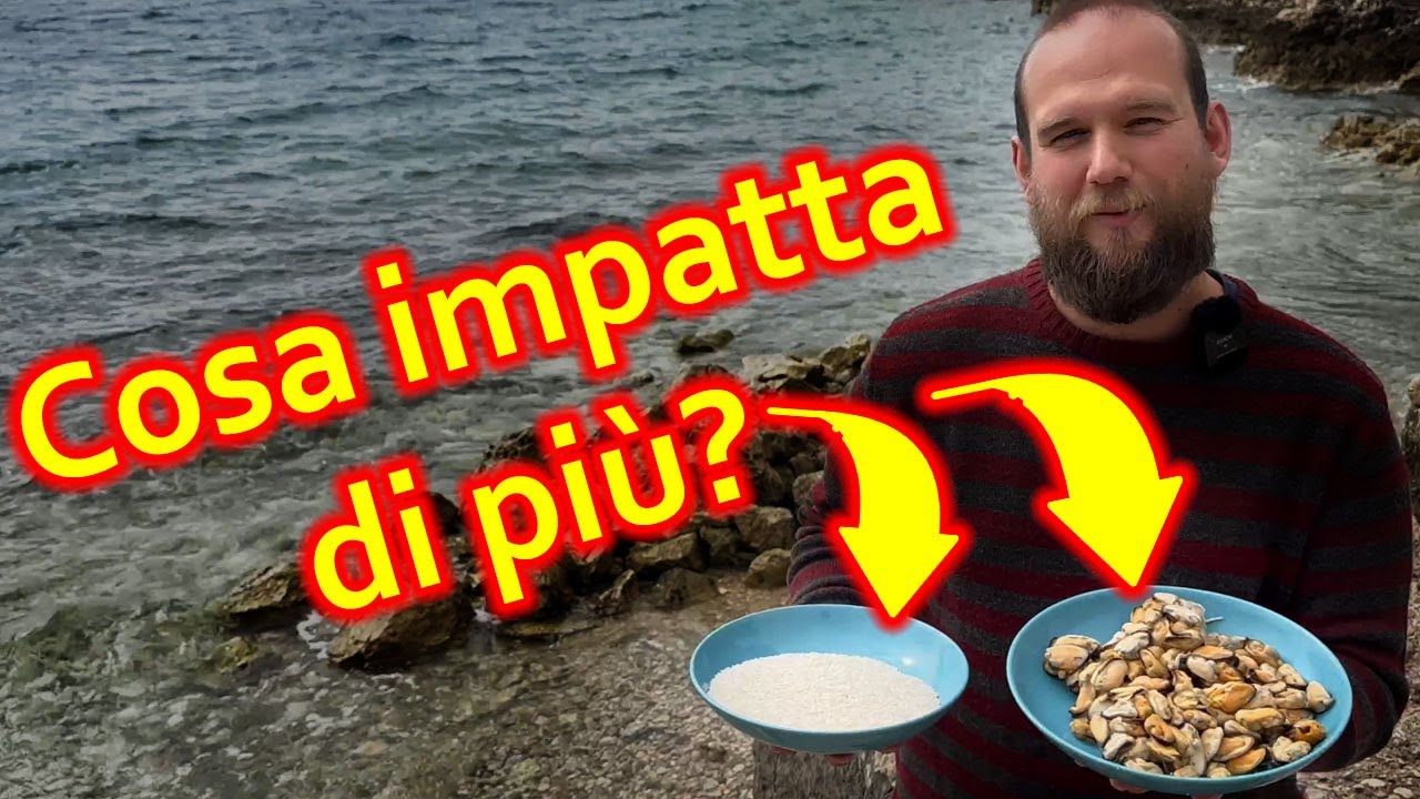 Perché i Vegani non mangiano le Cozze?