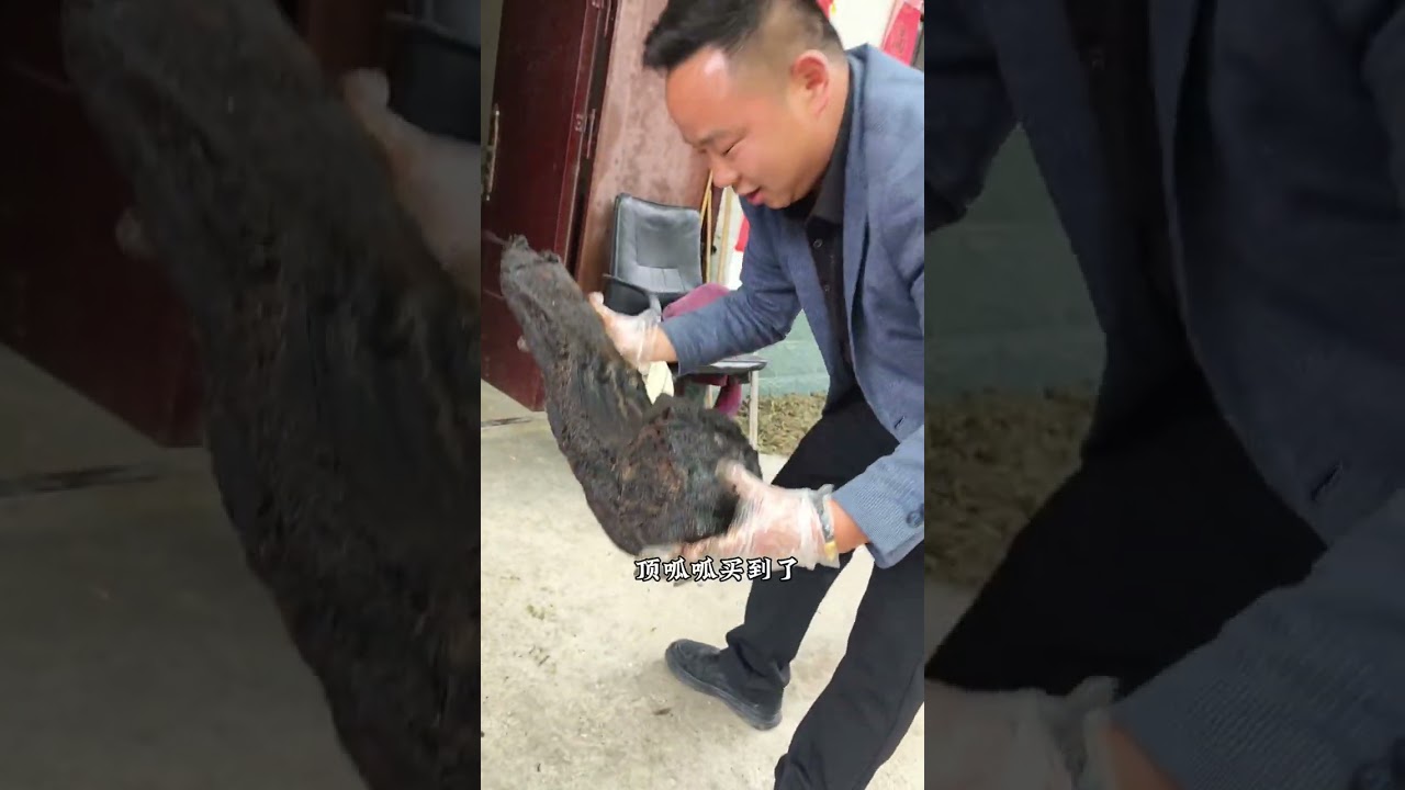 镇巴烟熏土猪腊肉，家乡的味道，原汁原味#农家烟熏腊肉 #服务三农支持三农 #抖音新农人 #镇巴腊肉