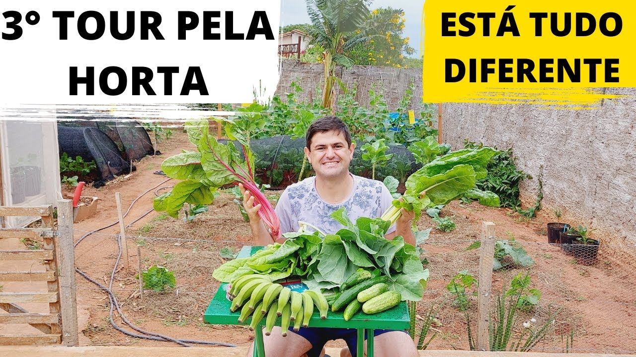OS SEGREDOS PARA TER UMA HORTA ORGÂNICA SUPER PRODUTIVA EM CASA. DIA DE TOUR E SUPER COLHEITA Ep101
