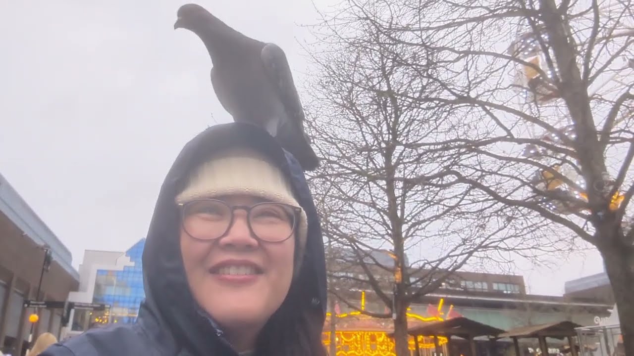 [47] ดูแทรคเตอร์รันวิ่งผ่านหมู่บ้าน, พาดูบรรยากาศคริสต์มาสในนิวคาสเซิ่ล, ช็อปปิ้งวัน Boxing Day 