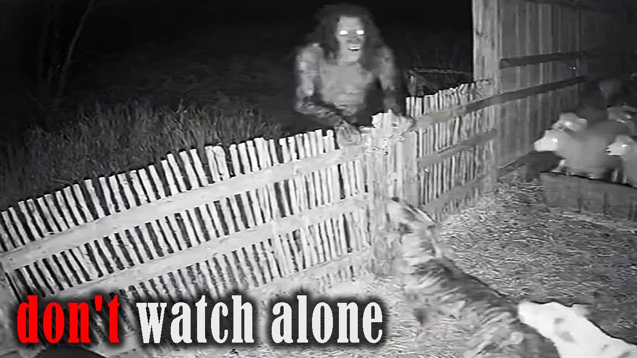 SCARY Videos to Make You Wear a Hoodie Indoors for Protection!