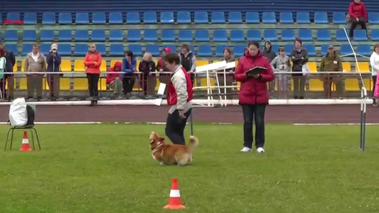 Чемпионат России 2015 г. по ОКД и ЗКС.