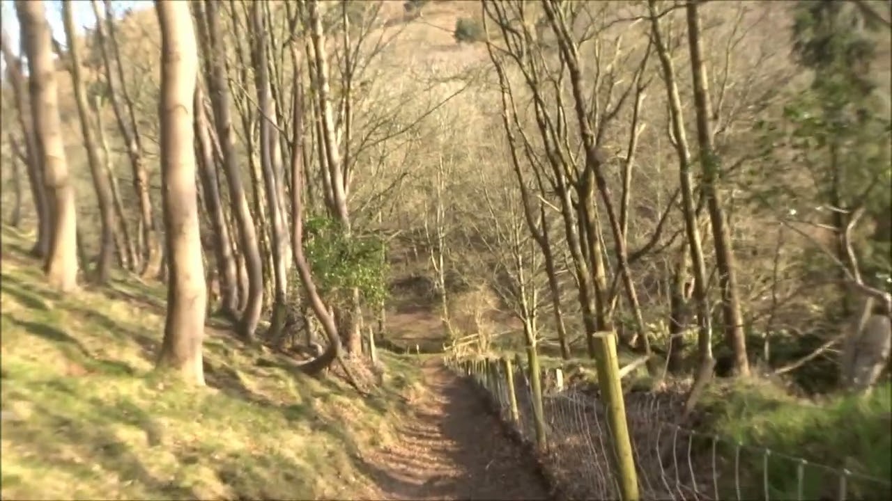 The First Visit To The Quantock Hills in March 2022, PART VII