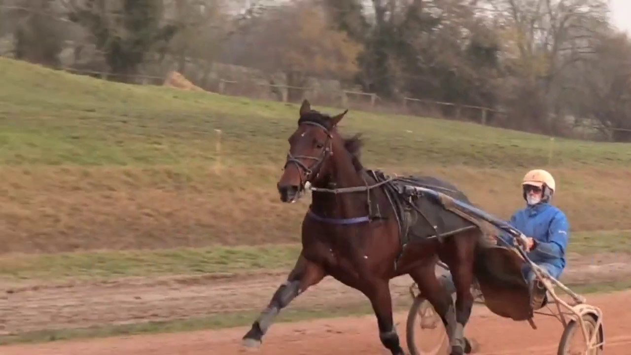 Le Monde des courses / Annabelle J&ouml;rg