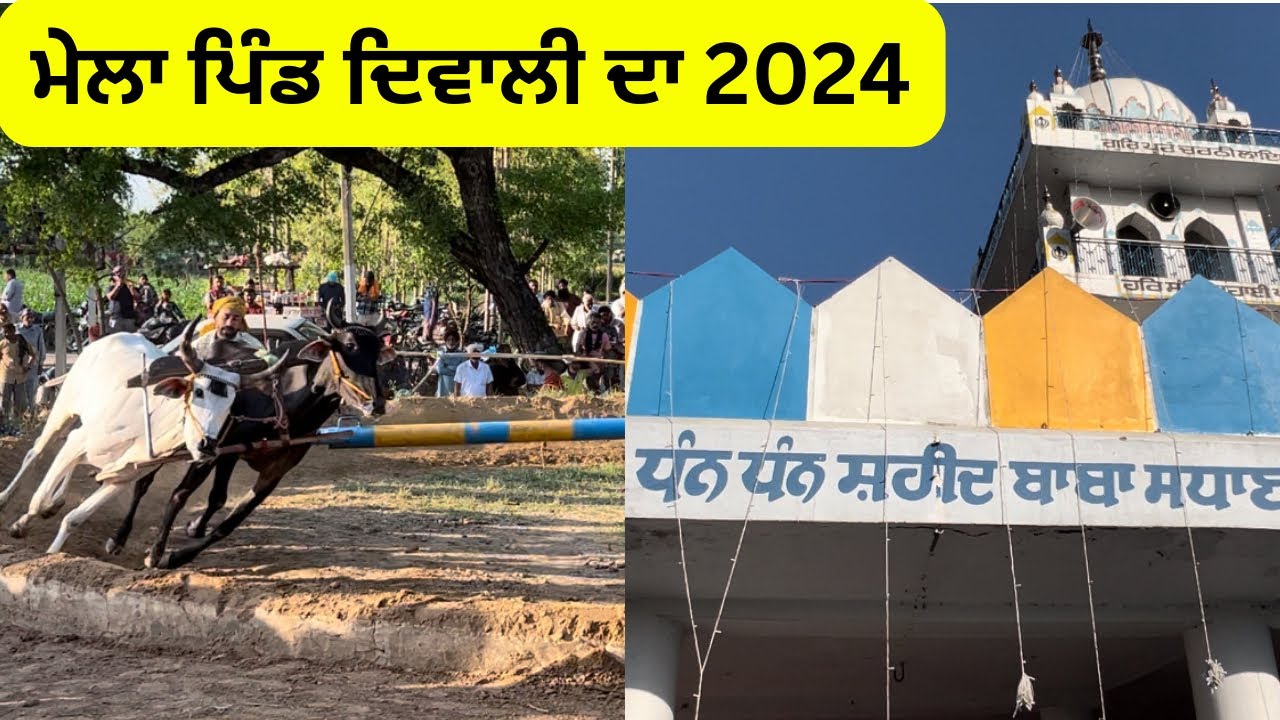 Mela Baba Sidhana Ji Village Diwali 2024 || ਪਿੰਡਾਂ ਵਾਲੇ ਬੌਲਦਾਂ ਦੀਆ ਦੌੜਾਂ ਦੇ ਸ਼ੌਕੀ 🐂 @PSJamsheria