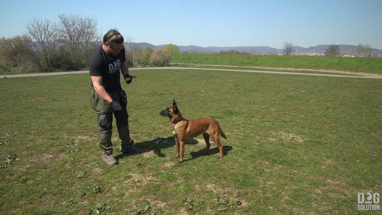 Dog Solution Extra TIPPEK 03   Forgás