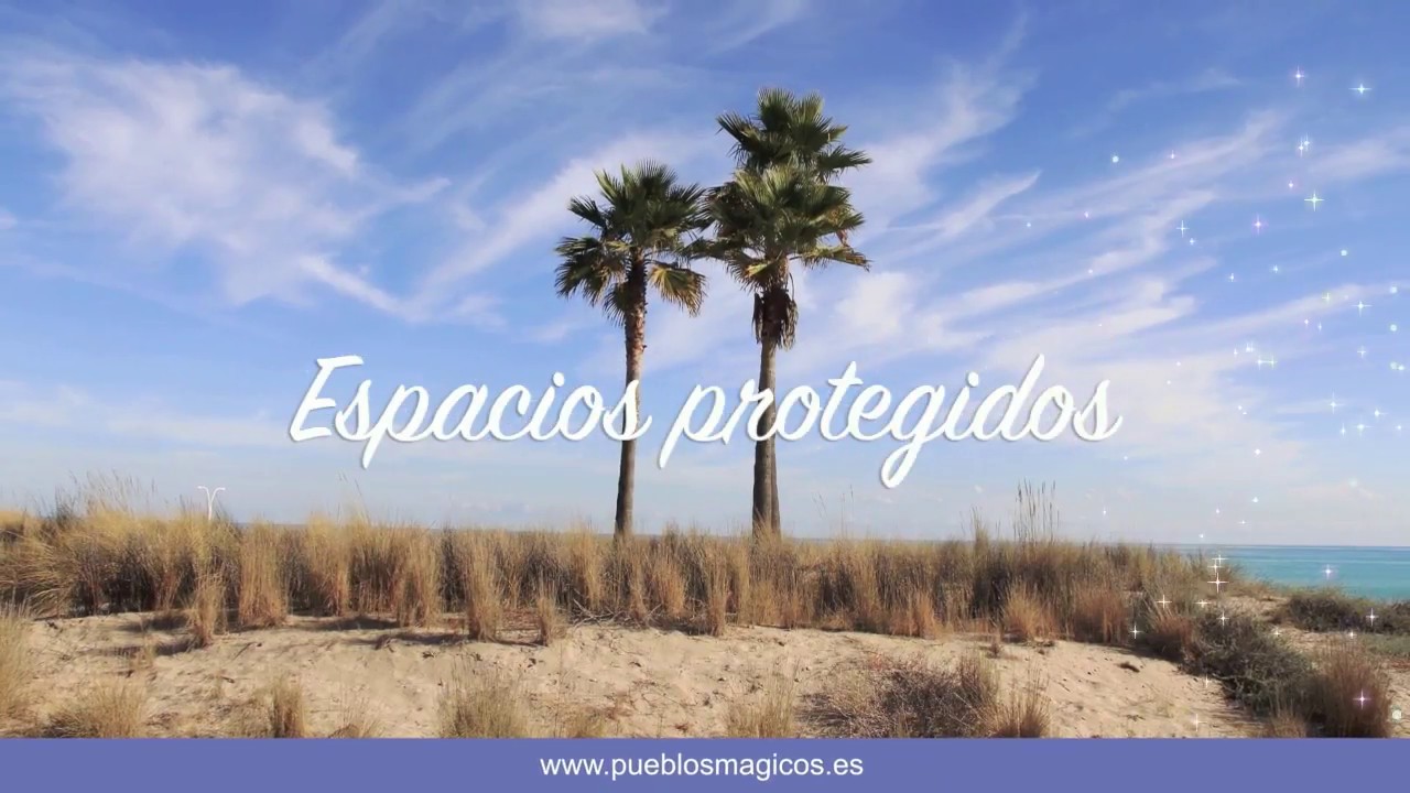 NULES MÁGICO