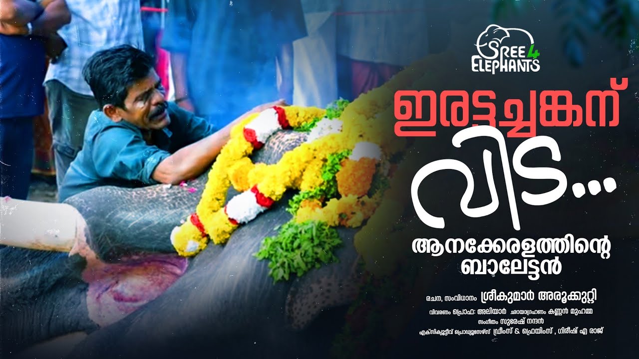 ഇതുപോലൊരു പോരാളി വേറെയില്ല.. ഇവനാണ് ആന...!