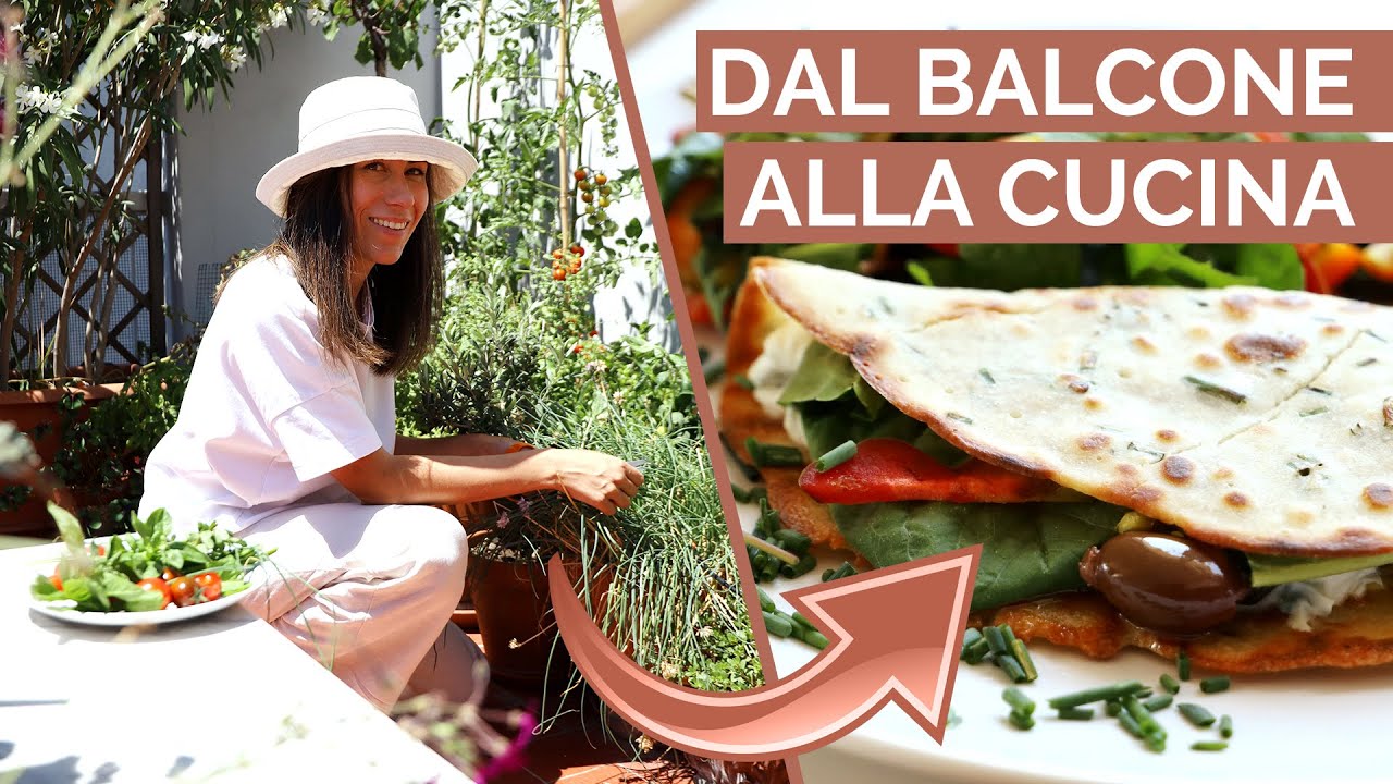 ORTO in balcone: 100% SODDISFAZIONE | Pomodori, erbe aromatiche, peperoncino…