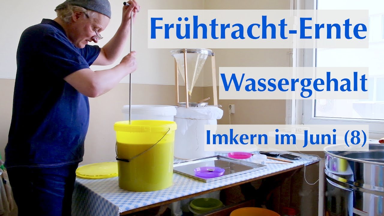 Frühtracht-Ernte - Wassergehalt senken; ganz legal - Imkern im Juni (8)