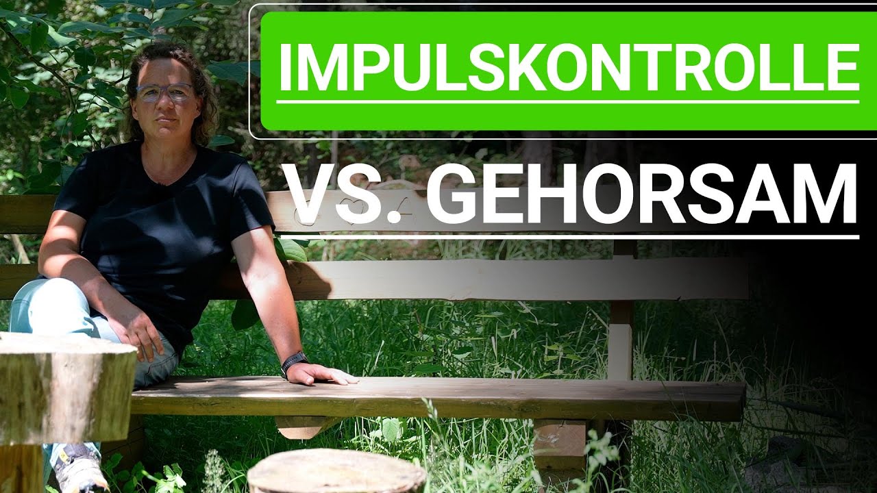 💥🐶 Impulskontrolle beim Hund vs. Gehorsam beim Hund ➡️ Erklärvideo 🐶💥✔️