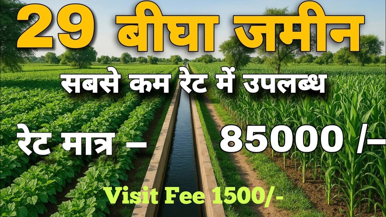 बीकानेर जिले की बज्जू तहसील में जनरल कैटेगरी वाली 29 बिघा कमांड जमीन बिकाऊ है।part-285
