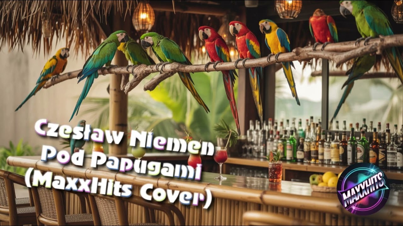 Czesław Niemen - Pod Papugami (MaxxHits Cover)