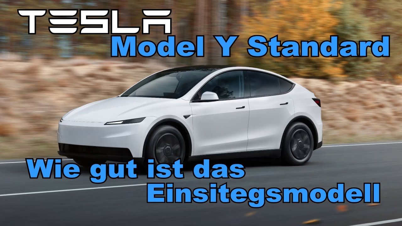 TESLA Model Y Juniper Standard - was wurde gespart?