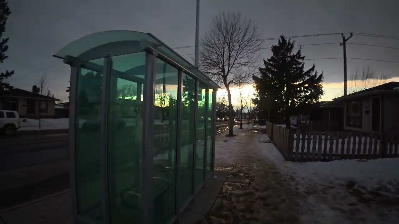 Falconridge main bus route