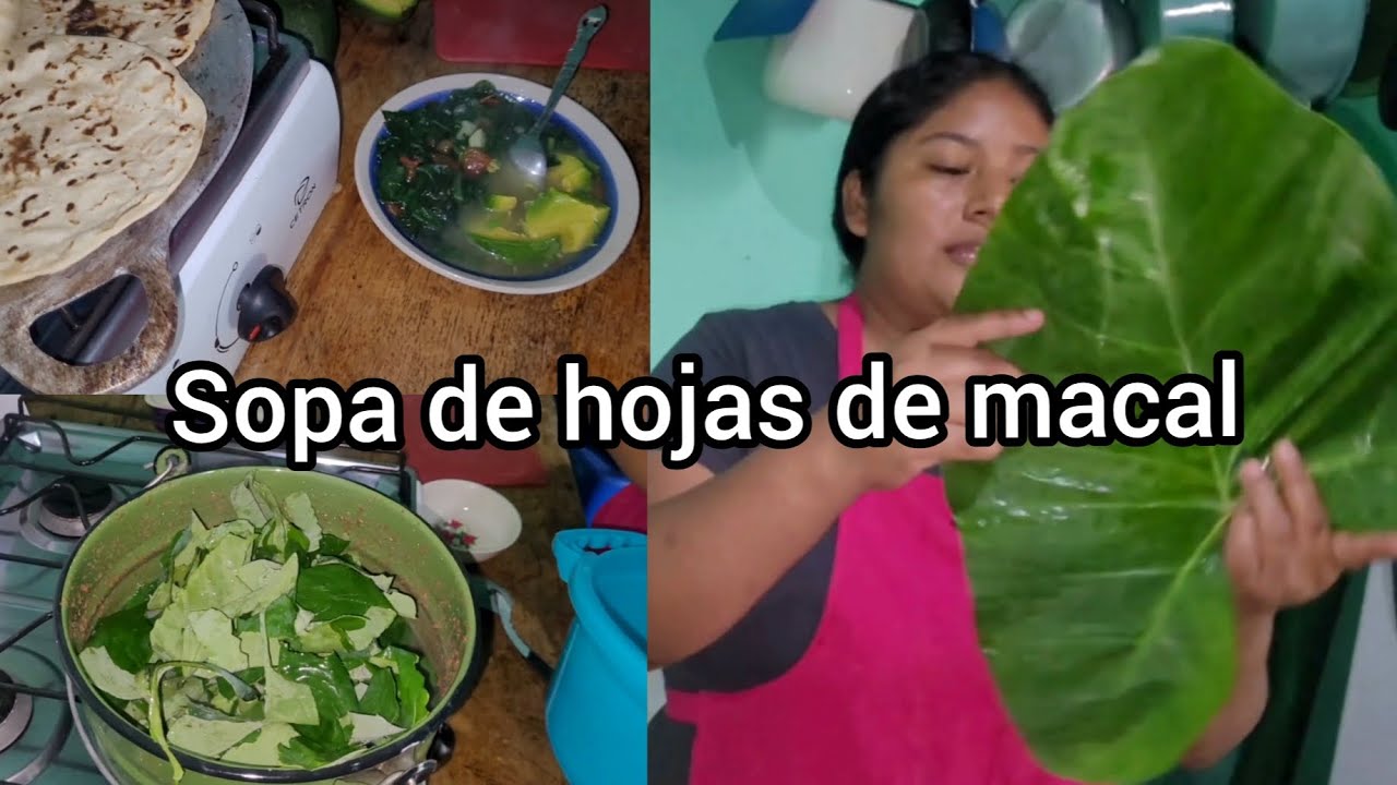 🥬Cómo preparar una rica sopa de hojas 🍲