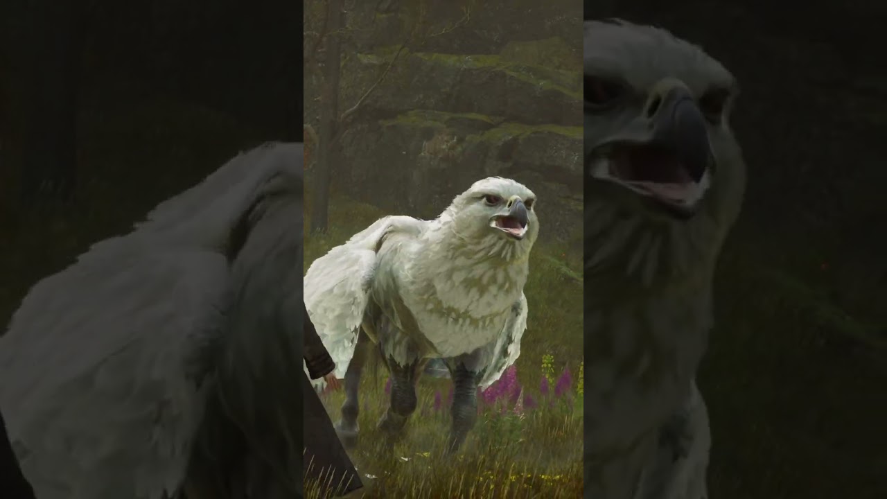 Hippogryph HIGHWING #shorts #hogwartslegacy #Hippogryph